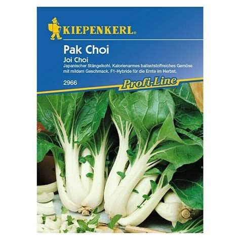 Kiepenkerl Profi Line Gemüsesamen Pak Choi Brassica rapa var