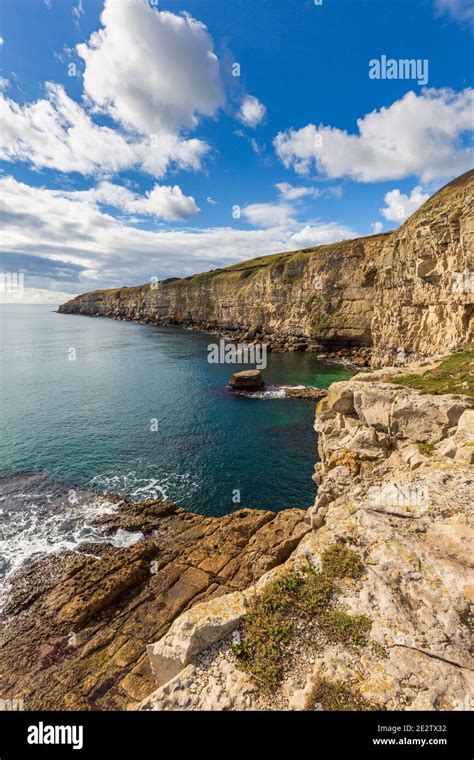 The Portland Stone Cliffs At Seacombe Quarry On The Jurassic Coast