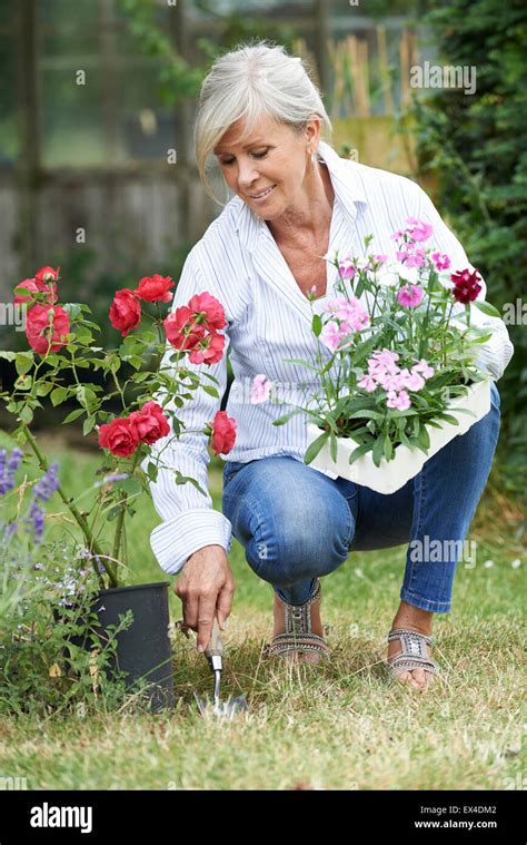 Femme mature dans le jardin Banque de photographies et dimages à haute résolution Alamy