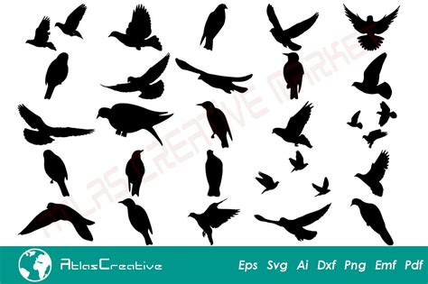 Birds Svg Bundle, 25 Birds Silhouette Svg, Flying Pigeon Bundle, Dove SVG, Pigeon Files for ...