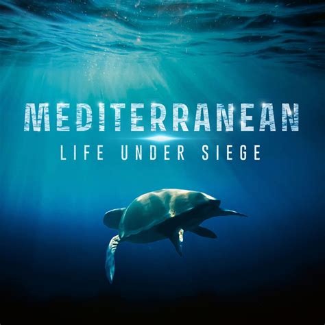 Watch Mediterranean: Life Under Siege on BBC Select