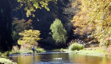 Diy Guide To Fly Fishing Spruce Creek In Central Pennsylvania Diy Fly