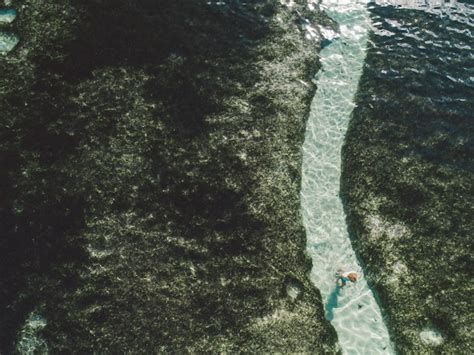 Premium Photo Low Section Of Man Standing By Sea