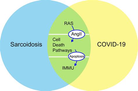 Frontiers From Covid 19 To Sarcoidosis How Similar Are These Two