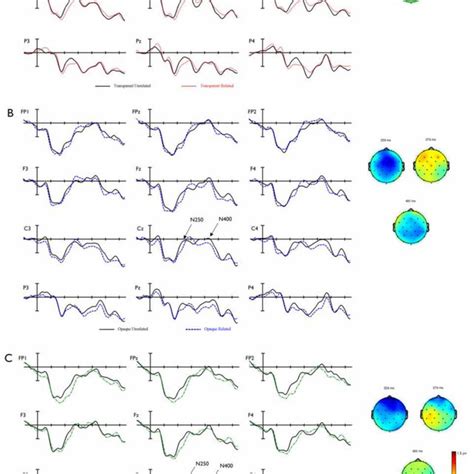 Opposite Grand Average Erp Waveforms Elicited By Related Solid