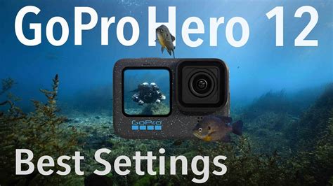 BEST SETTINGS For EPIC GOPRO HERO 12 Underwater Footage YouTube