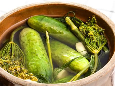 Малосольные огурцы - рецепты с фото простые и вкусные. 19 рецептов ...