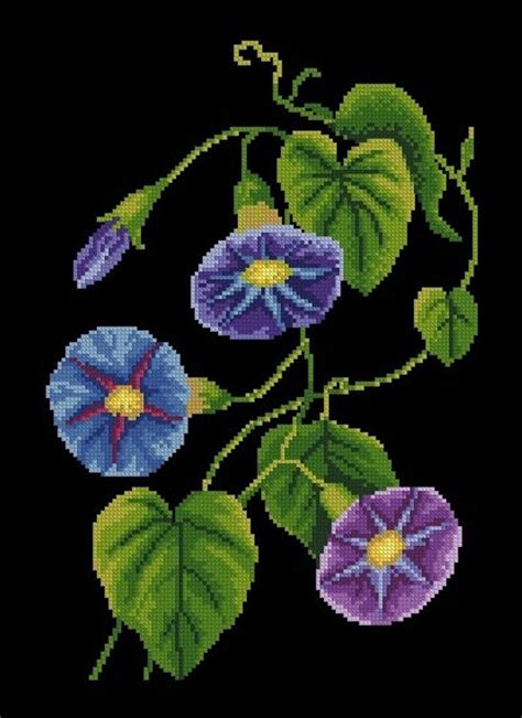 Morning Glory Cross Stitch Pattern Modern Flowers Cross Stitch Etsy