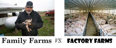 Documentary Viewing: Factory vs Family Farms | Food and Farming ...