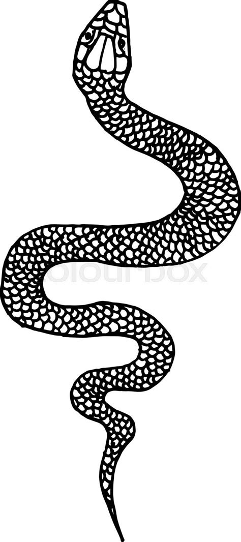 Hand Drawn Snake Illustration In Doodle Style Design Element For