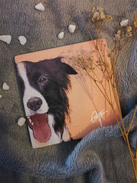 Boho Border Collie Drink Coasters Set Of Different Coasters Home