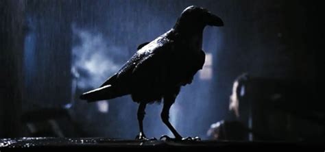 The Crow - Horror Land - The Horror Entertainment Website