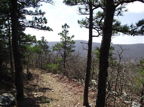 Black Fork Mountain Trail (Ouachita Forest) - 11 mi (o&b) | Arklahoma Hiker