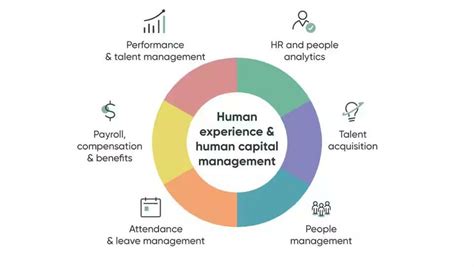 Figure No 1 Human Capital Management And Experience Source