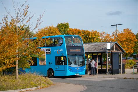 Are Dogs Allowed On First Buses