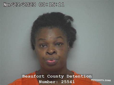 Sanqunetta Danielle Simmons 11 23 2023 Beaufort County Mugshots Zone