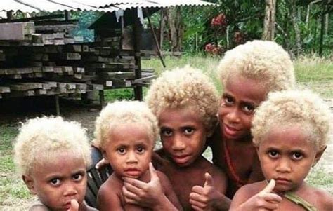 Black People With Blonde Hair Naturally The History Of Melanasians