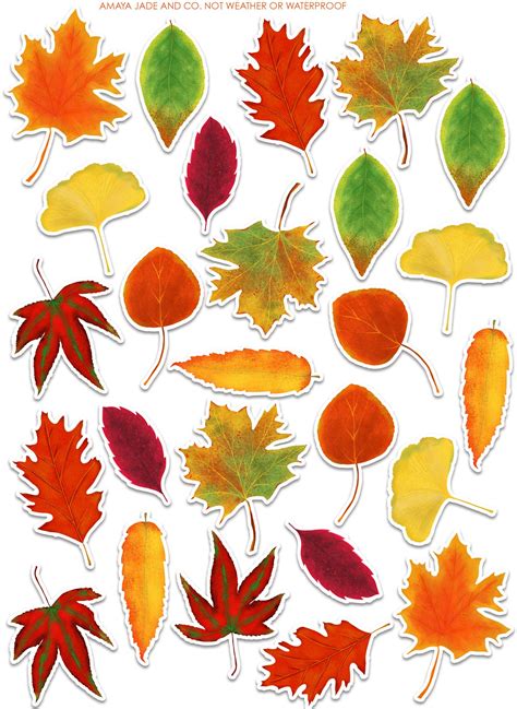 Fall Leaves Stickers, Autumn Leaves Stickers, Fall Foliage, Leaf ...