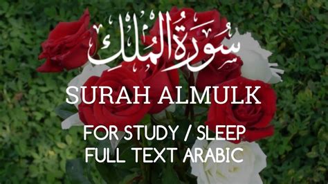 Surah Al Mulk سورة الملك Calming And Relaxing Quran Recitation