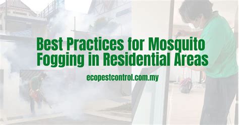 Best Practices For Mosquito Fogging In Residential Areas 2024