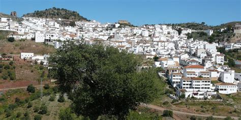 Almog A Con Perro Qu Ver En El Pueblo Y Sus Alrededores