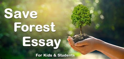 Best Forest Essay For Kids From Class 4 To 8 Earth Reminder