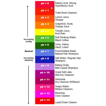 What You Should Know About the pH Scale