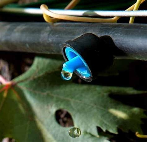 Gotejador Para Plantas Autocompensante L H Unidades Casairriga