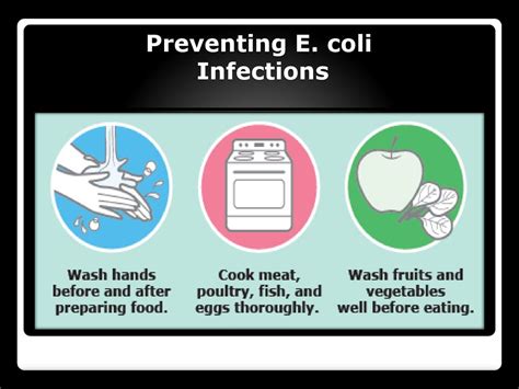 E Coli Prevention