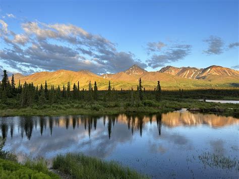 Denali Colors of Sunset | Barefoot Beachcombing