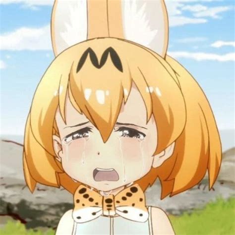 Crying Serval Kemono Friends Know Your Meme