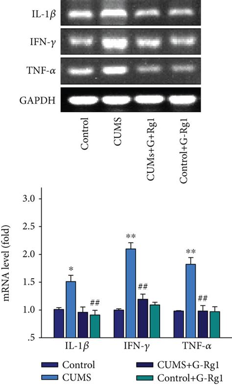 Ginsenoside Rg1 Suppresses Glial Activation And Inflammatory Cytokine