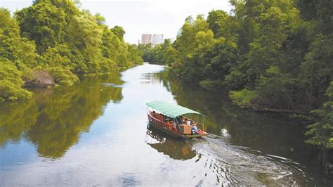 Passeio De Barco No Cocó é Opção Durante As Férias Metro Diário Do