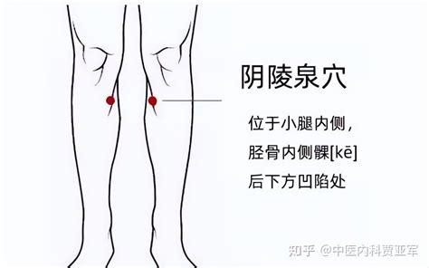 一分钱不花就能祛湿气？这四个穴位最健脾祛湿，是身体的四君子丸 知乎