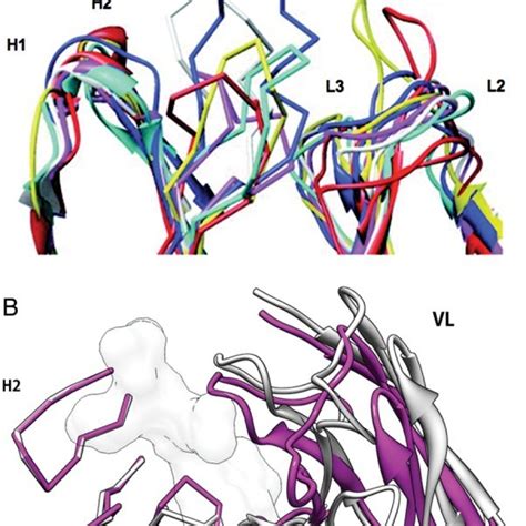 (PDF) Computer-aided antibody design