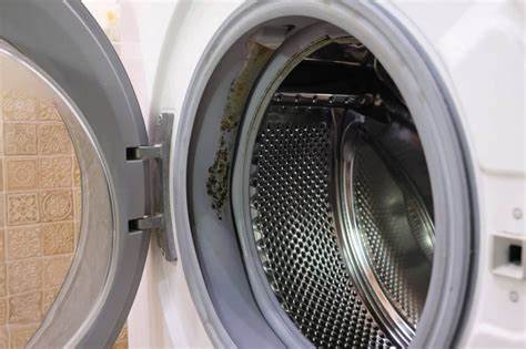 How To Remove Mildew From Rubber Seals On Washing Machines