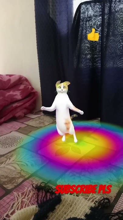 Cat Dance 🪩🩰 Shots Viral Funny Youtube