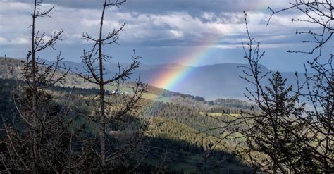 A Rainbow over a Landscape · Free Stock Photo