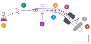 Atomic Structure – Mass Spectrometry – Exam-Corner