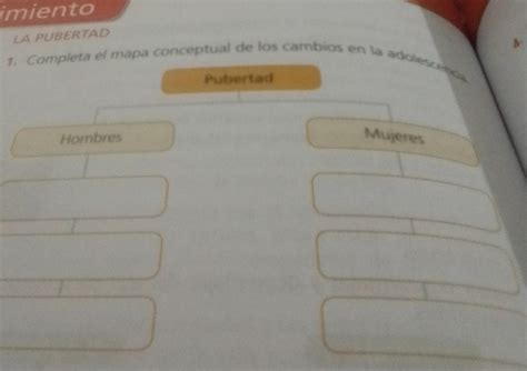 La Pubertad Completa El Mapa Conceptual De Los Cambios De La