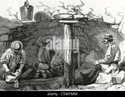 The Gold Rush, gold miners in California, 1849 Stock Photo: 50028139 ...