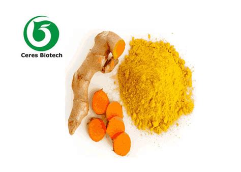 Pharmaceutical Grade Turmeric Curcumin Extract 95% Curcumin Powder High ...