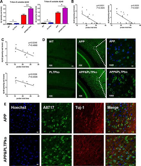 Effects Of Pltp Deficiency On A Pathology In Month Old Mice A