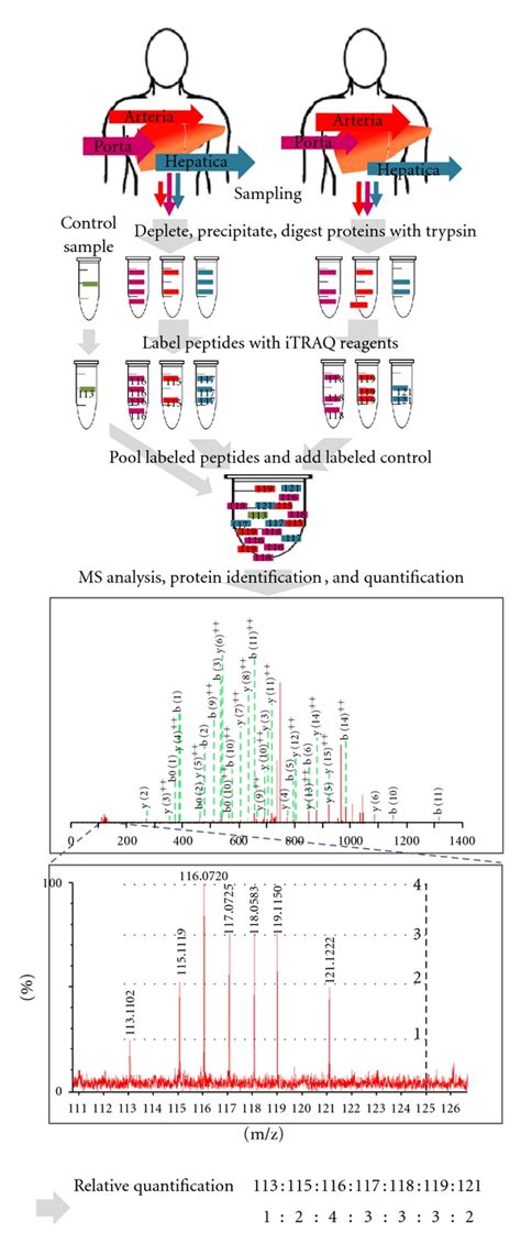 General Workflow For Patient Sampling Itraq Labeling And Protein