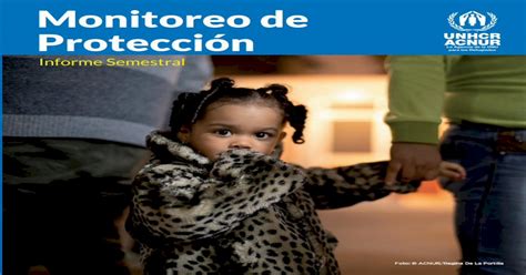 Monitoreo De Protecci N De Las Am Ricas Informe Semestral