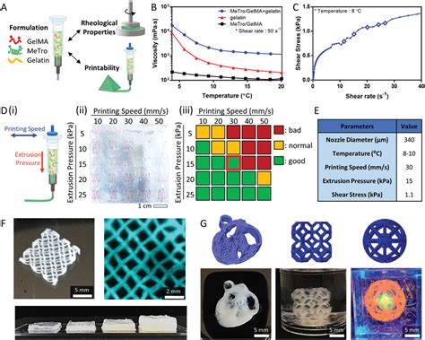 Optimization Of 3d Printing Parameters A Bioink Formulation For 3d