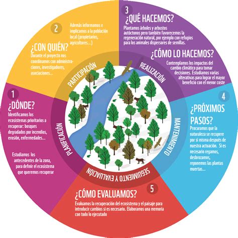 Restauracion de bosques WWF España