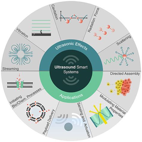 Ultrasound Responsive Systems As Components For Smart Materials