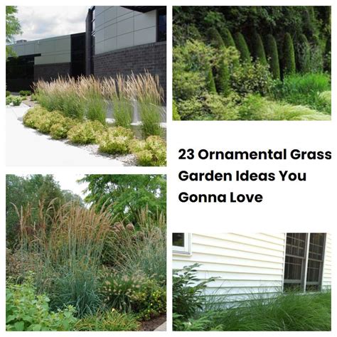 23 Ornamental Grass Garden Ideas You Gonna Love | SharonSable