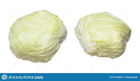 Cabbage Fly In Mid Air Green Fresh Vegetable Cabbage Falling Organic Fresh Vegetable With